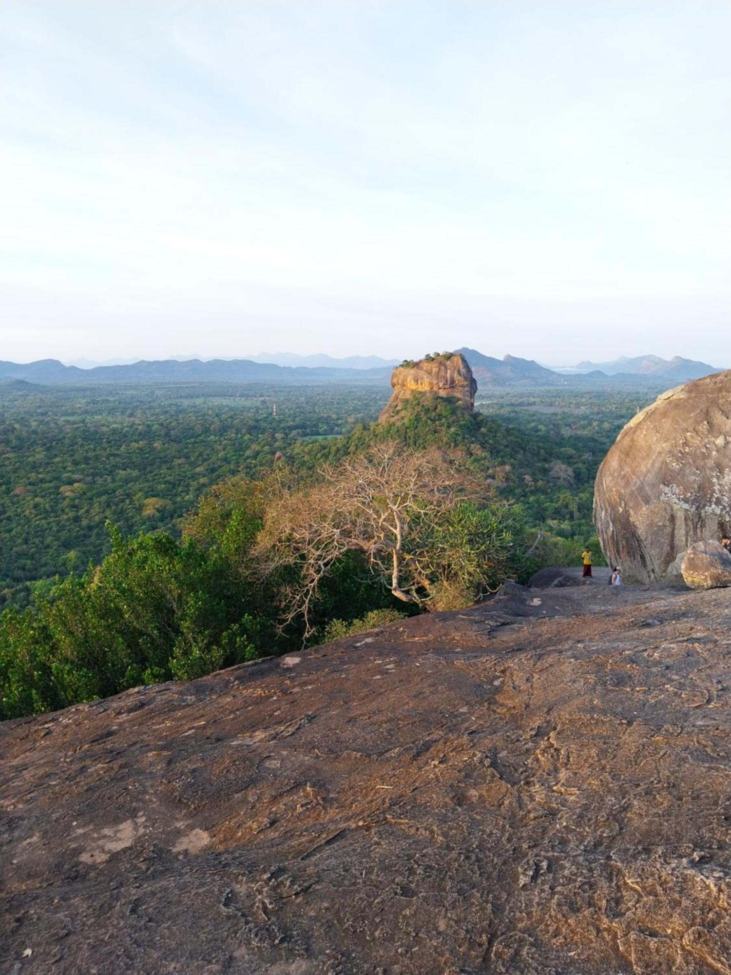 Near The Canal Homstay Sigiriya Dış mekan fotoğraf